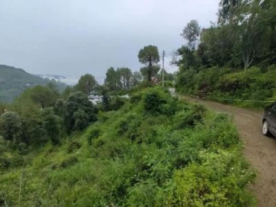 Land Sale Barog HP