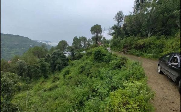 Land Sale Barog HP