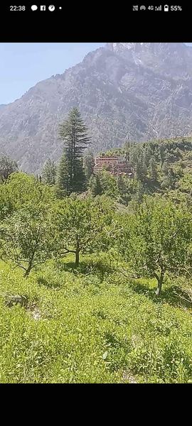 Land with Apple Trees