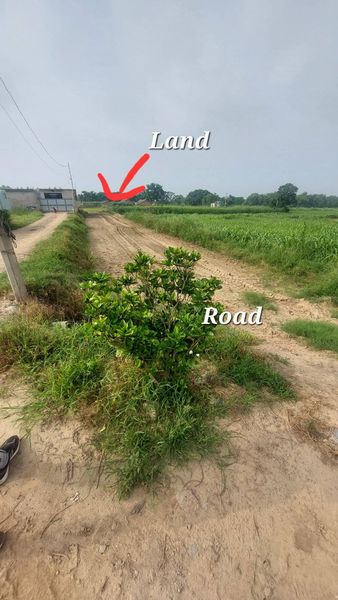 Land for Farmhouse