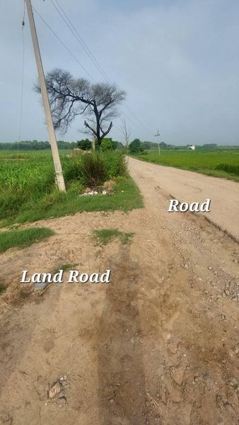 Land for Farmhouse