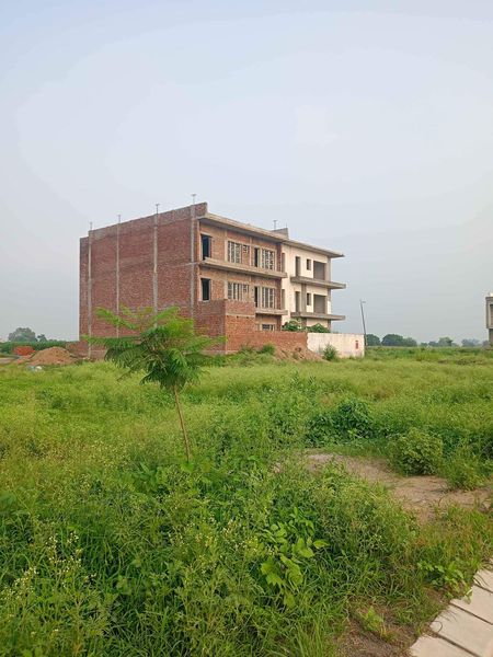 Plots Altus