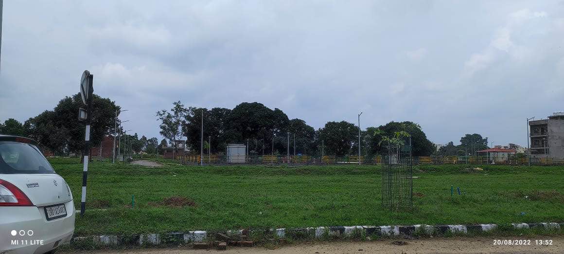 500 Sqyd Residential Plot