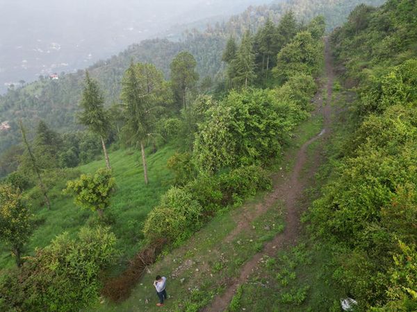Land in Solan HP