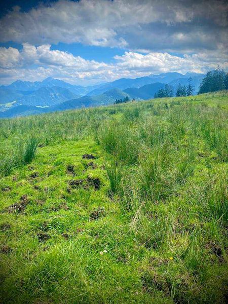 Land