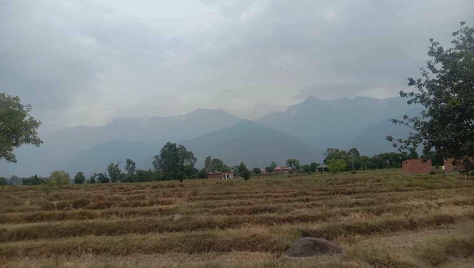 Agriculture Land
