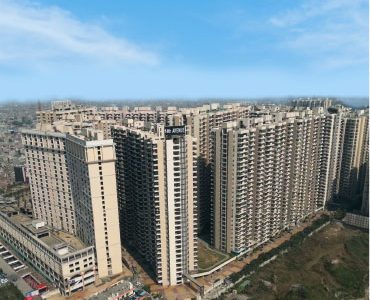14th Avenue